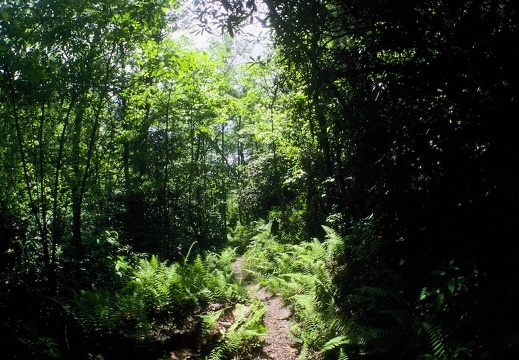 Big South Fork country